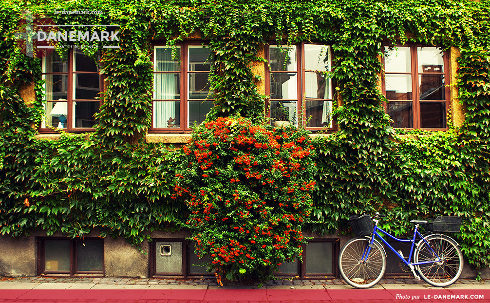 Bicyclette à Copenhague